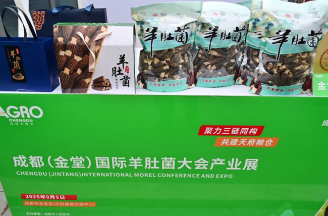 成都农博会分会场活动精彩来袭 四大核心活动聚焦羊肚菌产业