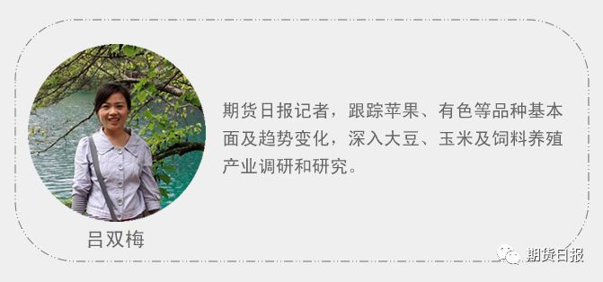 利多来袭！苹果期货价格持续上涨