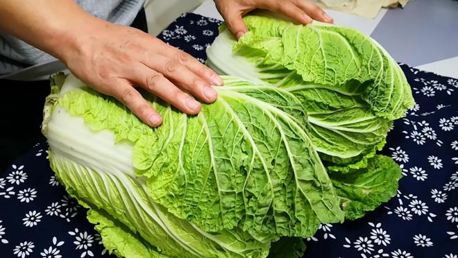 保存白菜别直接放地上！简单 2 步不烂不坏放半年仍新鲜